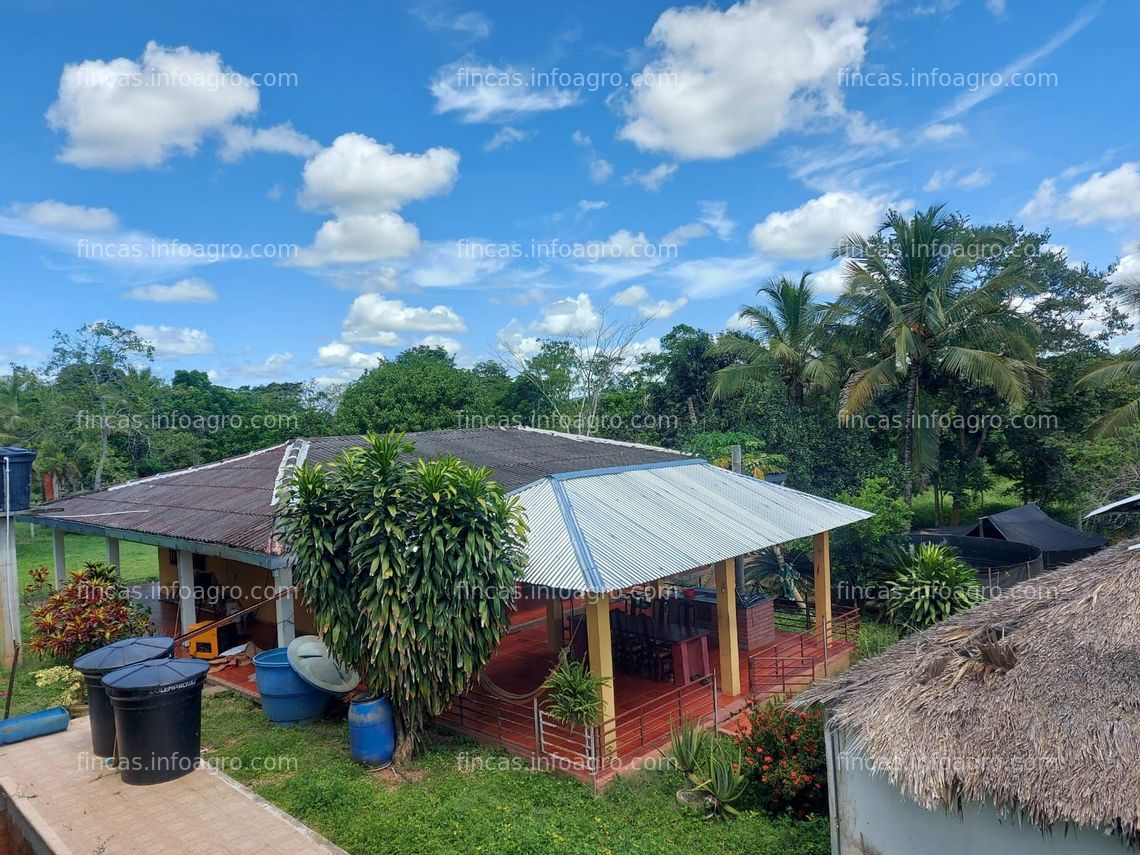 Fotos de En venta  Hermosa finca a las afueras de Montería, Vía guateque