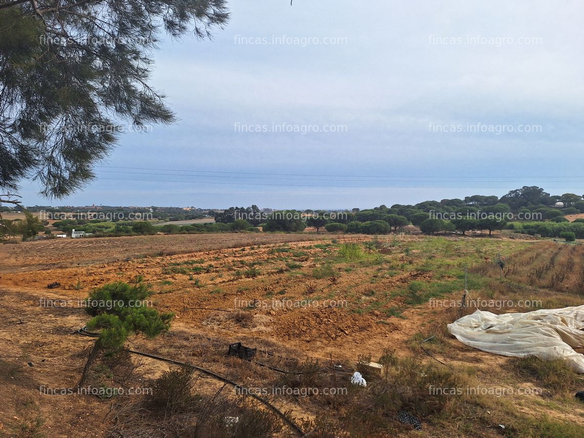 Fotos de A la venta finca de 4 hectáreas con agua concedida ideal para todo tipo de cultivo de berrys y productos rojos