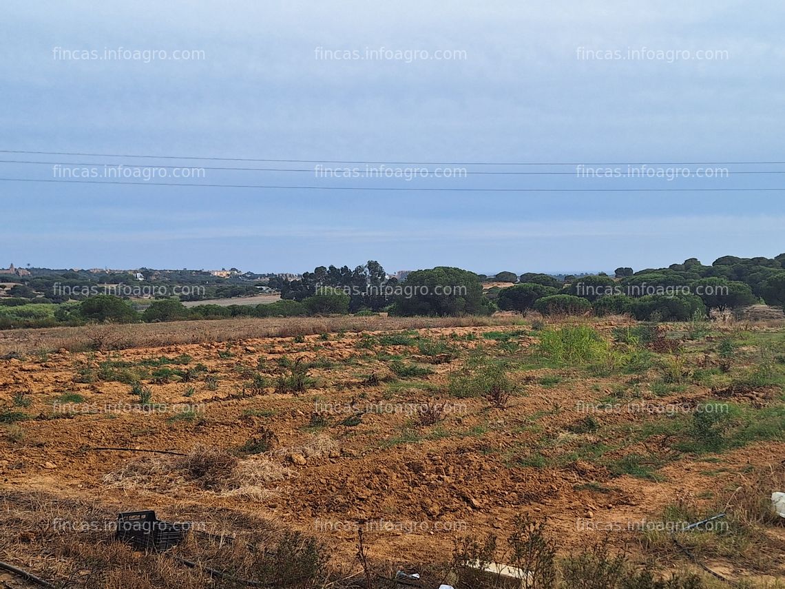 Fotos de A la venta finca de 4 hectáreas con agua concedida ideal para todo tipo de cultivo de berrys y productos rojos