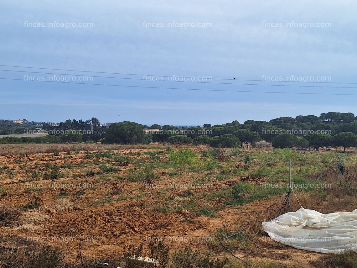 Fotos de A la venta finca de 4 hectáreas con agua concedida ideal para todo tipo de cultivo de berrys y productos rojos