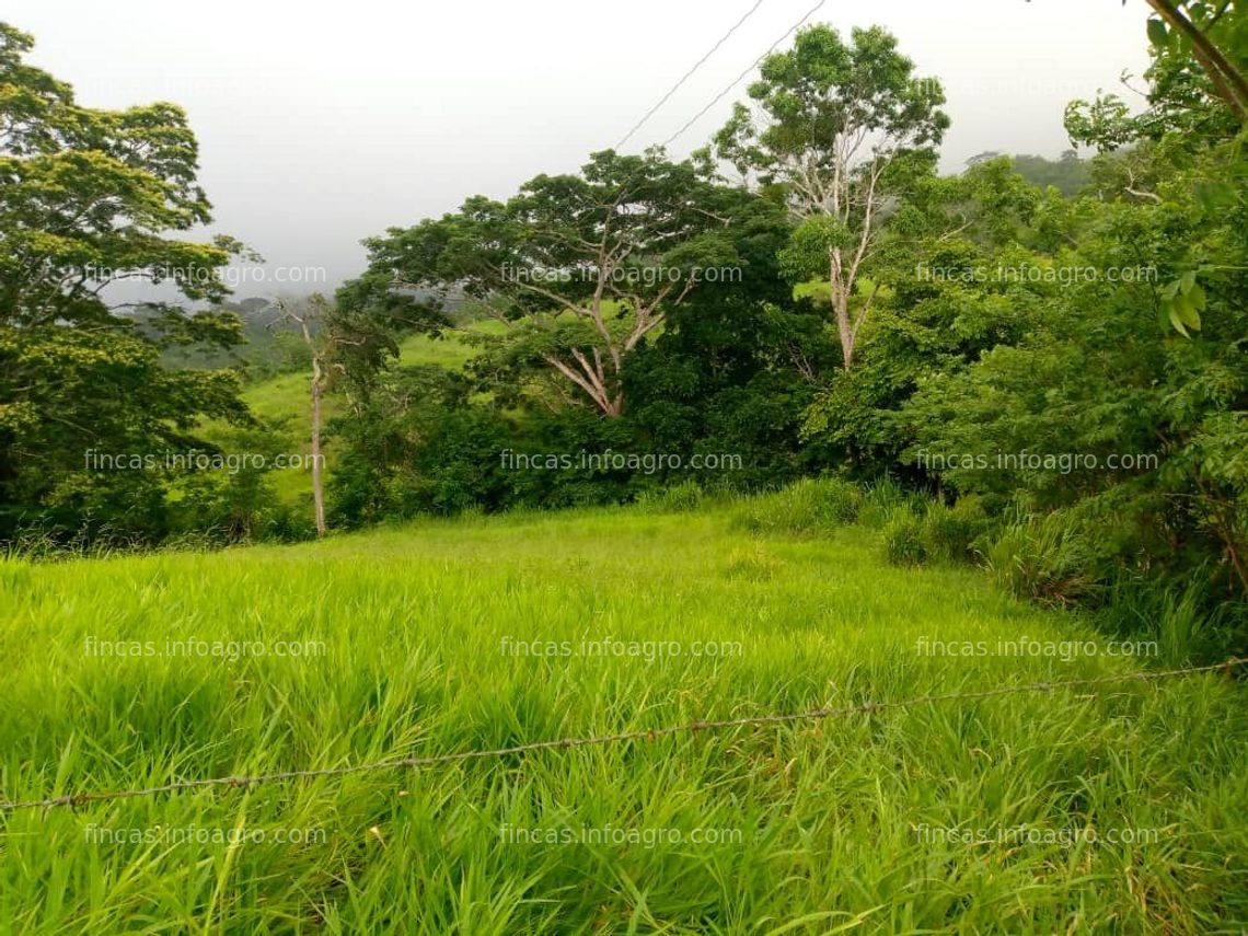 Fotos de A la venta Finca rústica para pasto y ganado