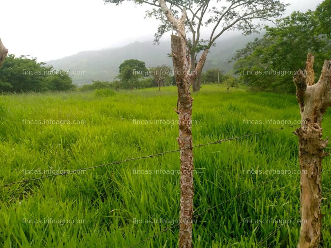 Fotos de A la venta Finca rústica para pasto y ganado