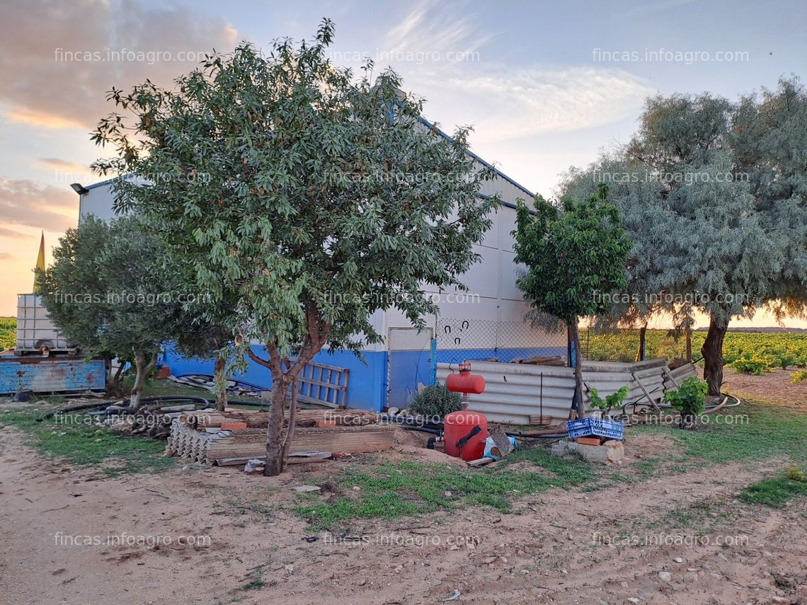 Fotos de En venta  finca de viñedo  ecologica .Ideal para 1 o2 incorporaciones 