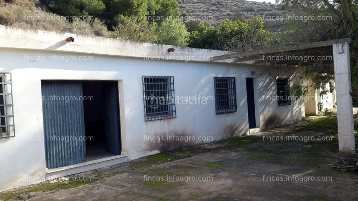 Fotos de En venta  FINCA DE AGUACATES EN PUEBLO NUEVO MOTRIL