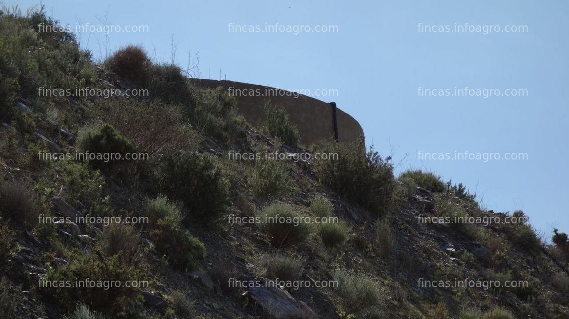 Fotos de A la venta Invernaderos en las barreras de Motril y carchuna