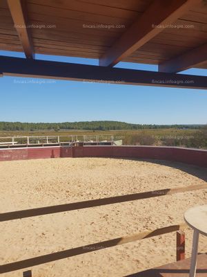 A la venta finca agrícola ganadera