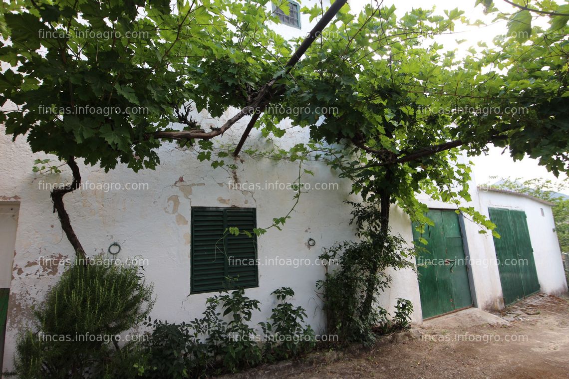 Fotos de Se vende Parcela rústica con casa