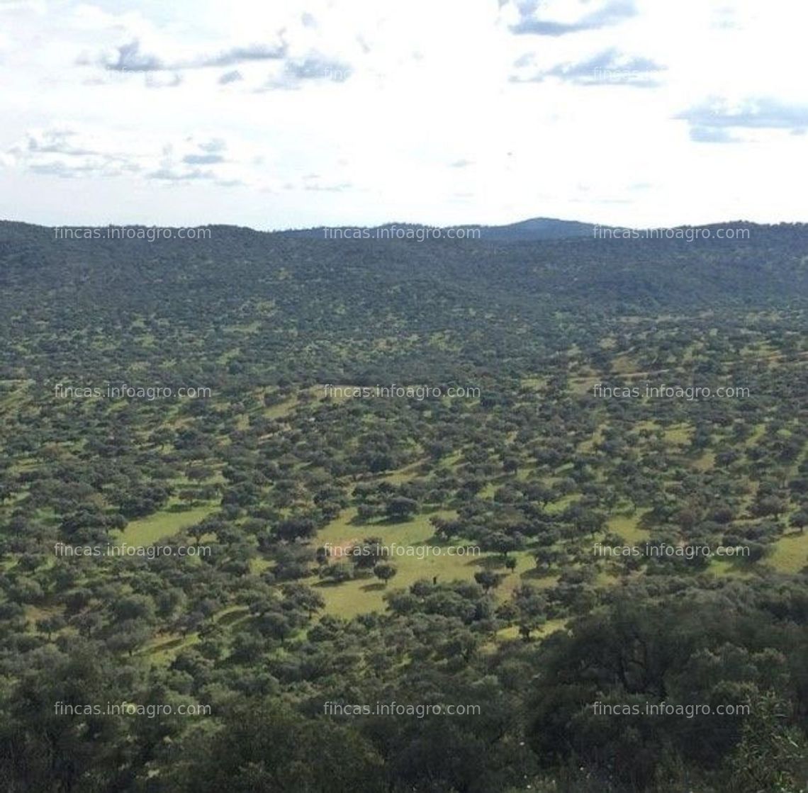 Fotos de A la venta Finca de Dehesa en la Sierra de Aracena (Cumbres Mayores)