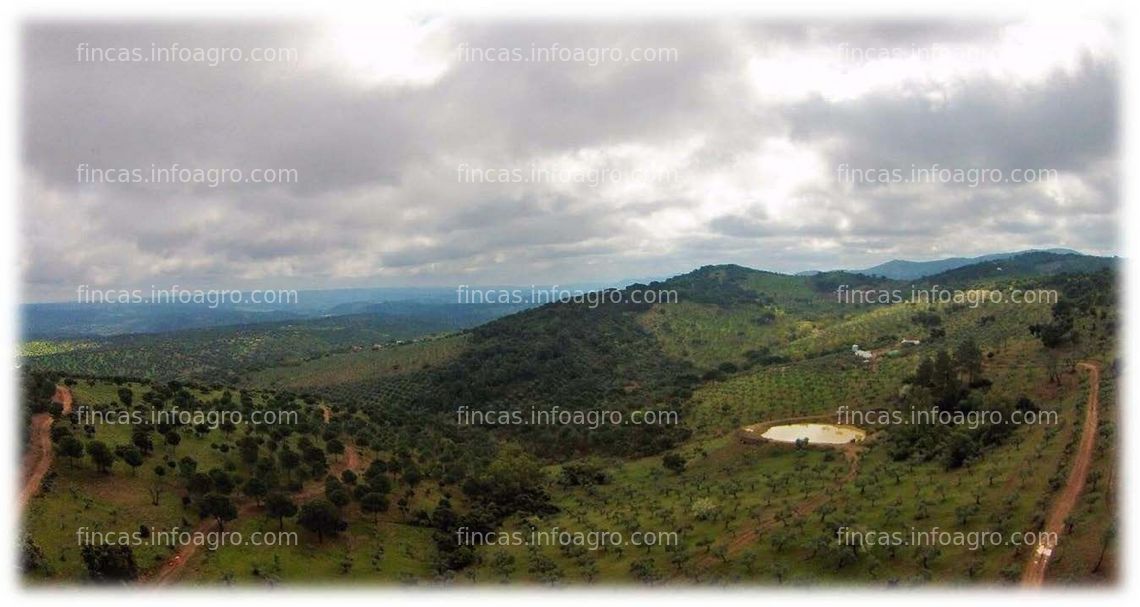 Fotos de A la venta Finca Agro-Cinegética en Córdoba