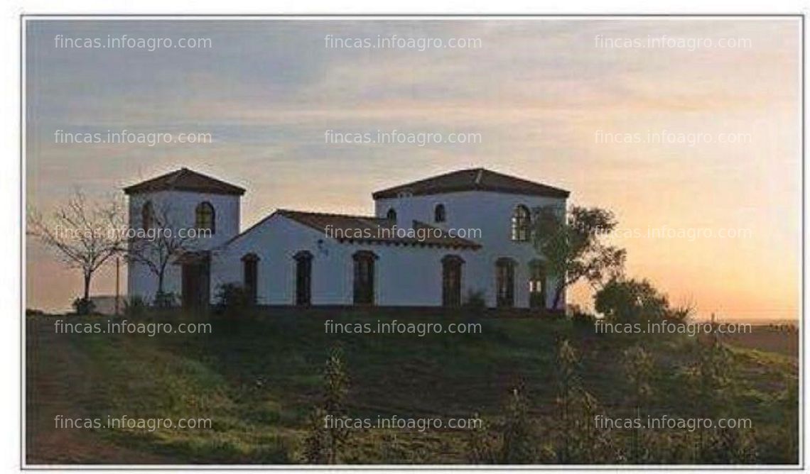 Fotos de En venta  Finca Recreo en Gerena 10ha.