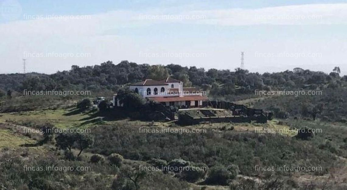 Fotos de En venta  Finca Recreo en Gerena 10ha.