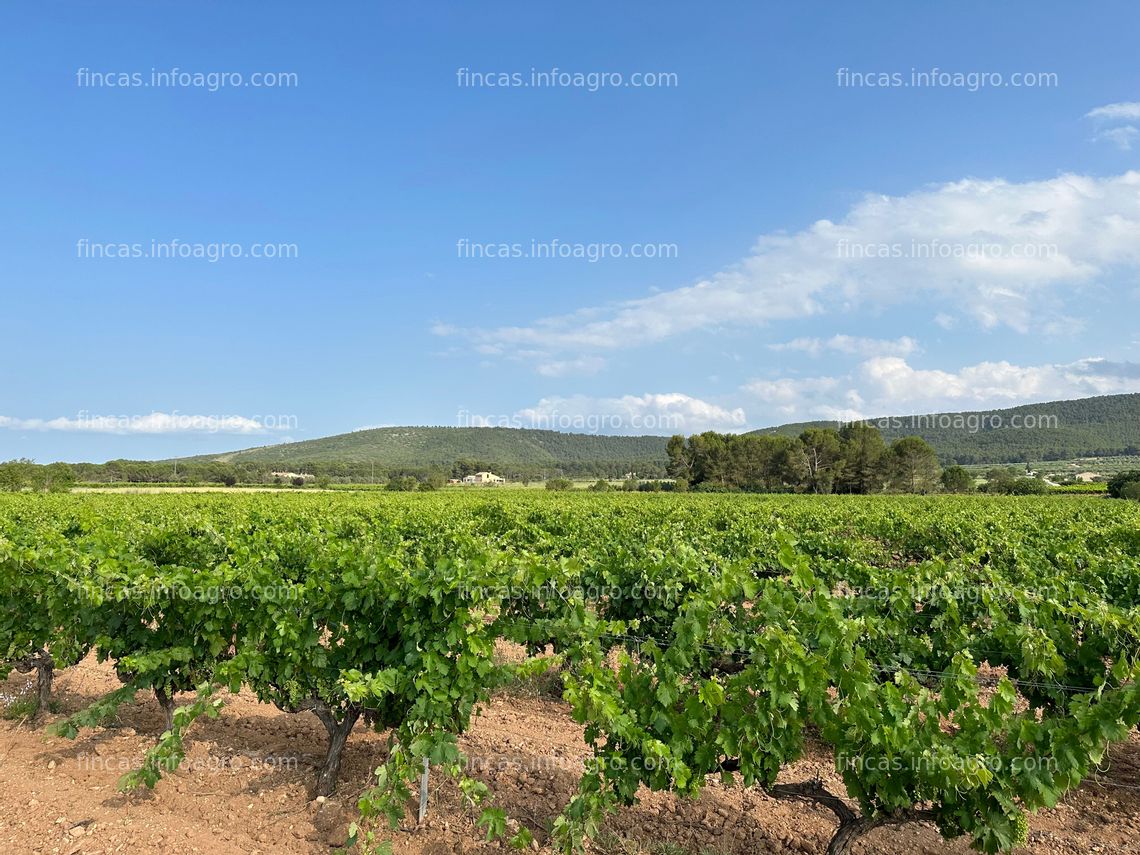 Fotos de Vendo Finca rústica de secano