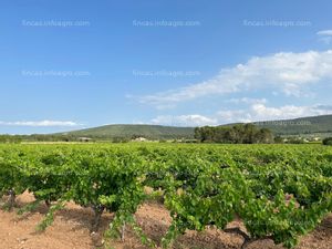 Vendo Finca rústica de secano