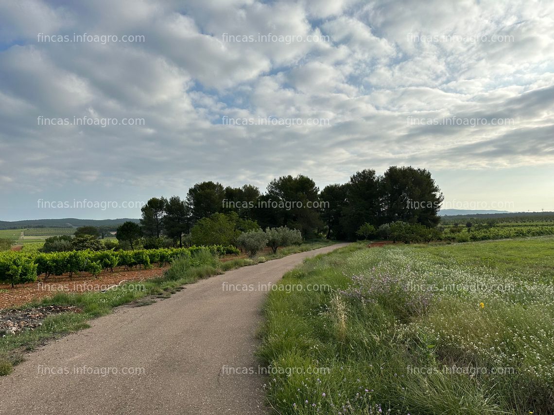 Fotos de Vendo Finca rústica de secano