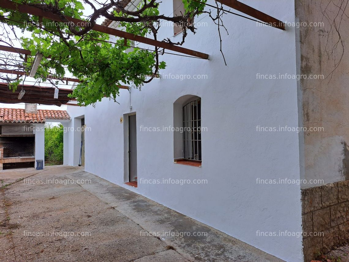 Fotos de Vendo Finca de naranjos con casa tradicional valenciana