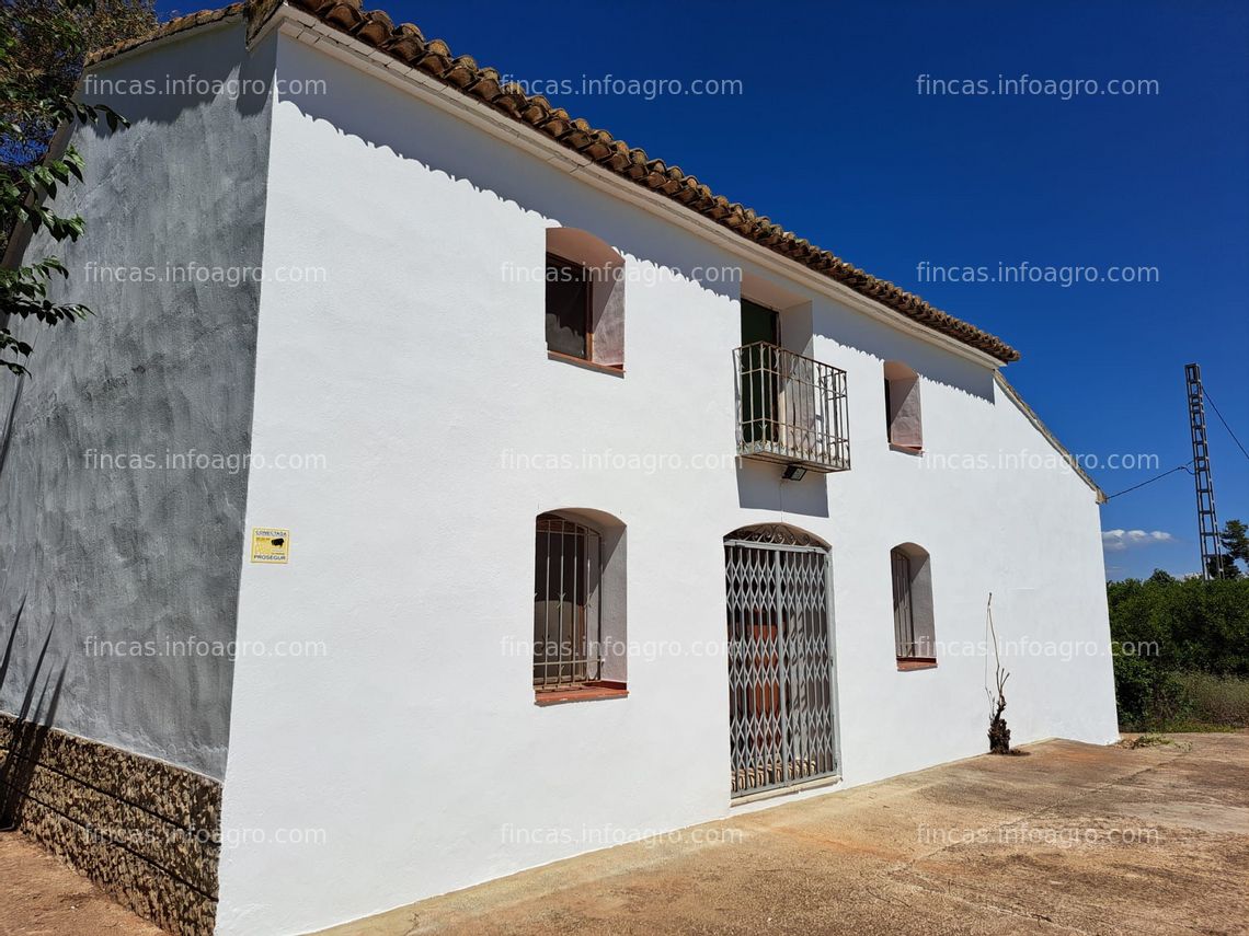 Fotos de Vendo Finca de naranjos con casa tradicional valenciana