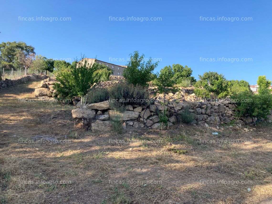 Fotos de Vendo finca de regadío en La Vera (Cáceres)