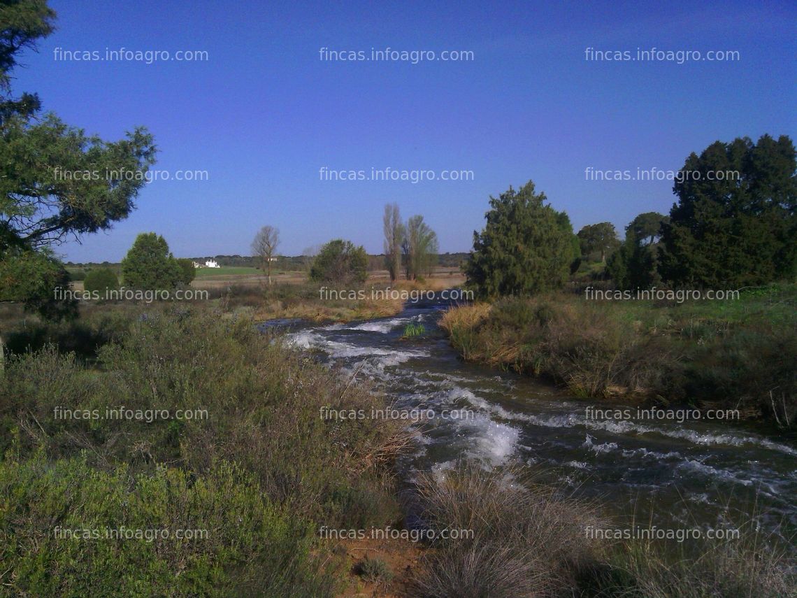 Fotos de En venta  Finca cerca Lagunas Ruidera