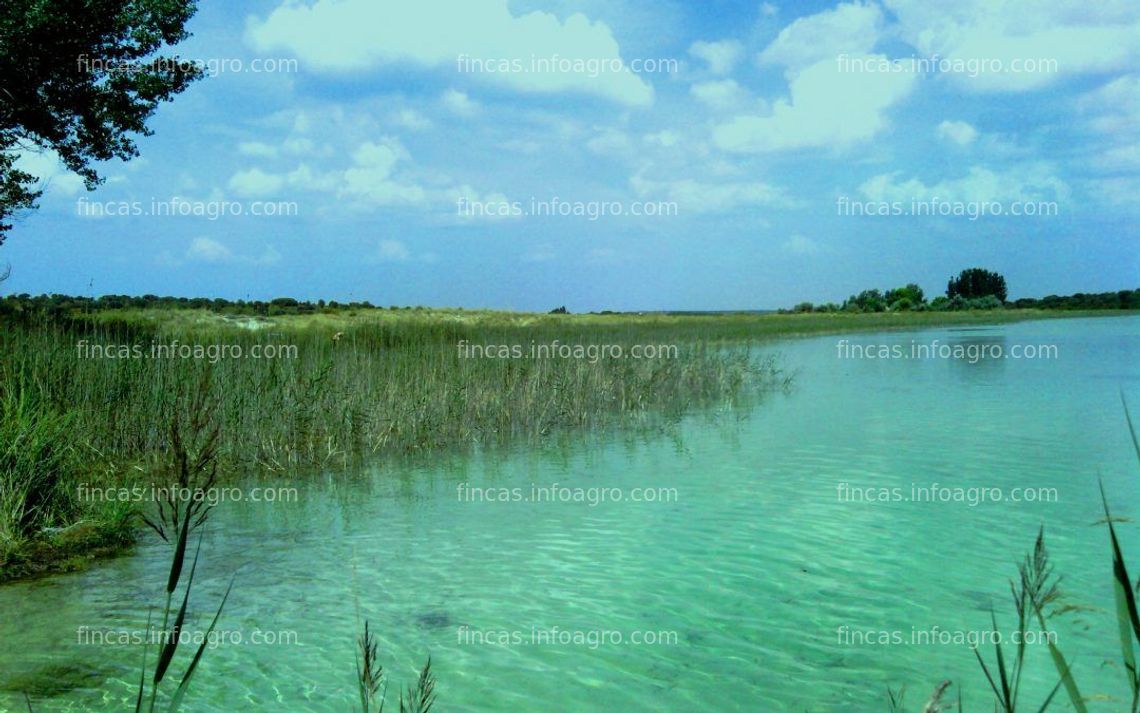 Fotos de En venta  Finca cerca Lagunas Ruidera