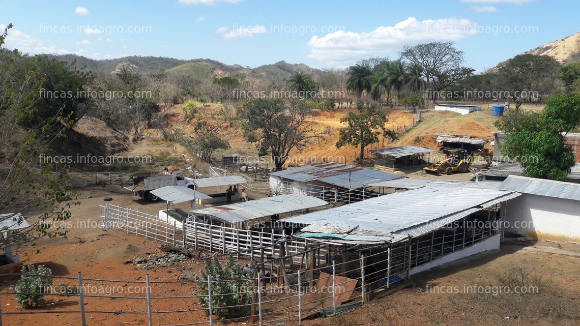 Fotos de A la venta finca de 560 hectareas, con dos casas potreros, 2 tanques de 250 y 75 mil litros, cochinera, laguna...