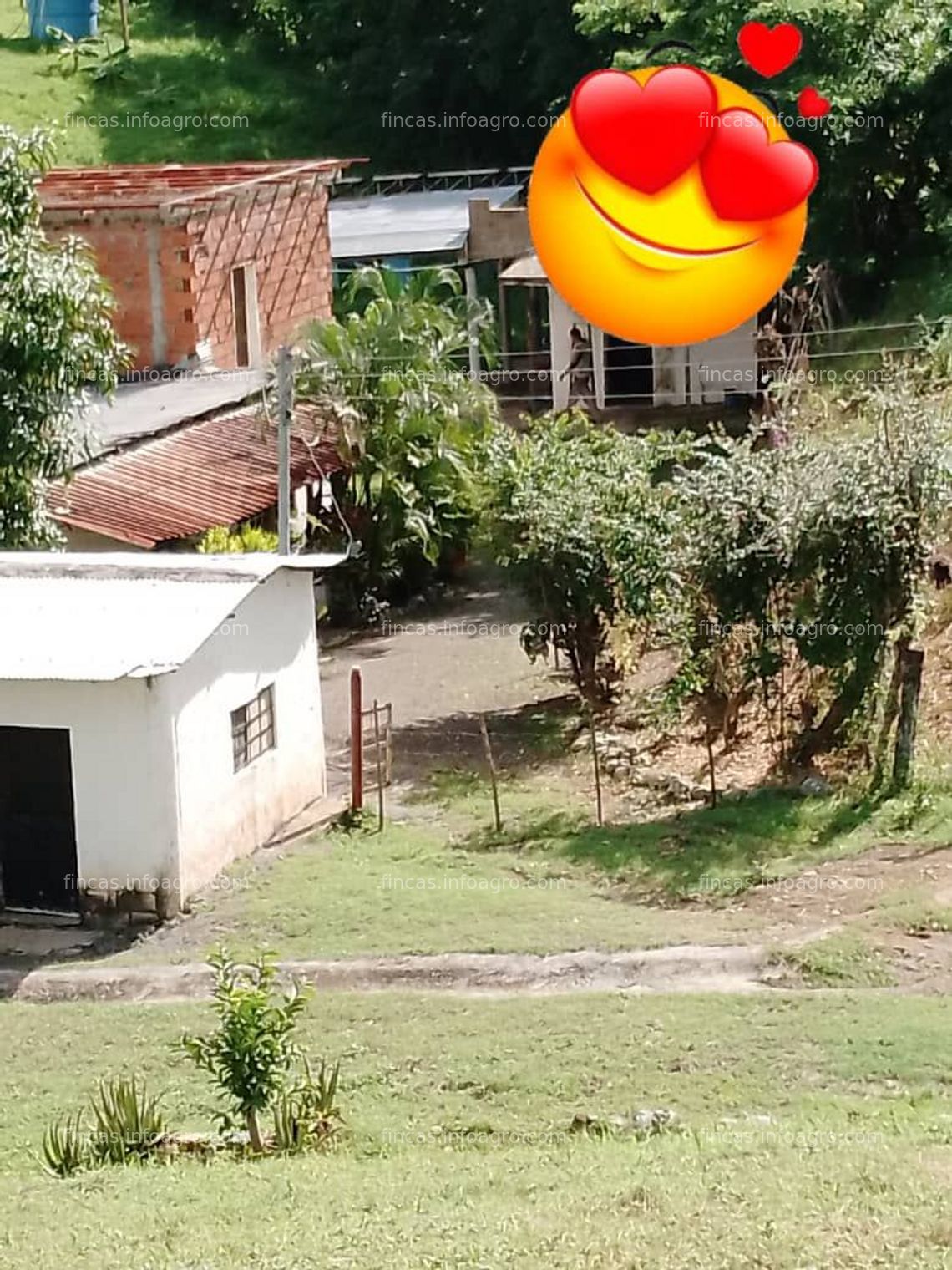 Fotos de A la venta finca de 560 hectareas, con dos casas potreros, 2 tanques de 250 y 75 mil litros, cochinera, laguna...