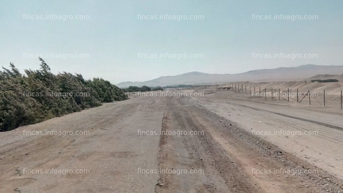 Fotos de A la venta Terreno eriazo en Huacho - Sector Playa Chica