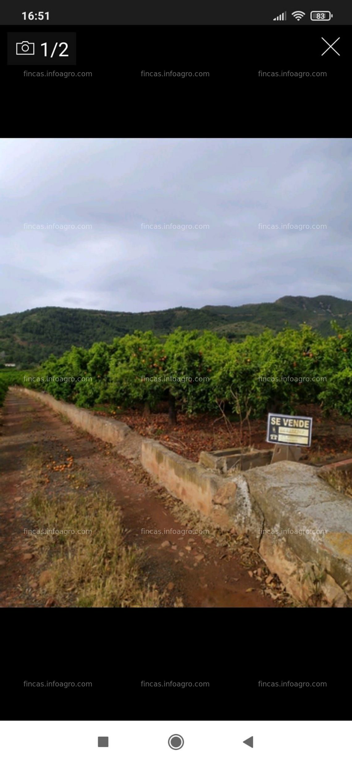 Fotos de A la venta Finca rústica en Villavieja (2,5 hanegadas) 