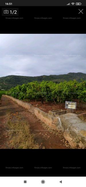 A la venta Finca rústica en Villavieja (2,5 hanegadas) 