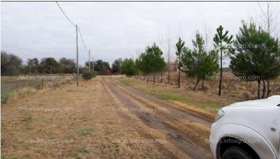 Fotos de En venta  3.170 HAS. EN ARGENTINA EN LA PROVINCIA DE SAN LUIS 