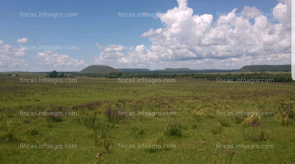 Fotos de Vendo campo en área protegida de la cuchilla negra