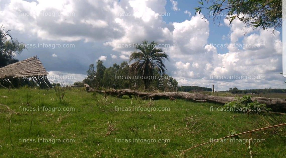 Fotos de Vendo campo en área protegida de la cuchilla negra