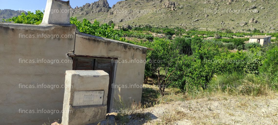 Fotos de Vendo BLANCA (MURCIA) HUERTA DE LIMONEROS EN PRODUCCION