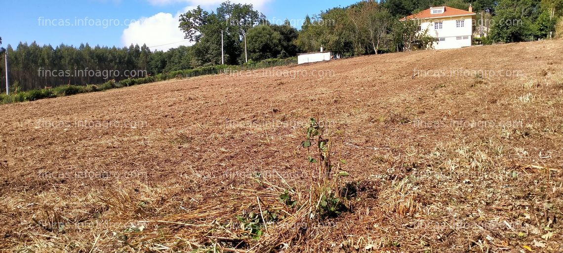 Fotos de En venta  Parcela urbanizable con vivienda y parcelas rústicas para cultivo, con manantial y frutales