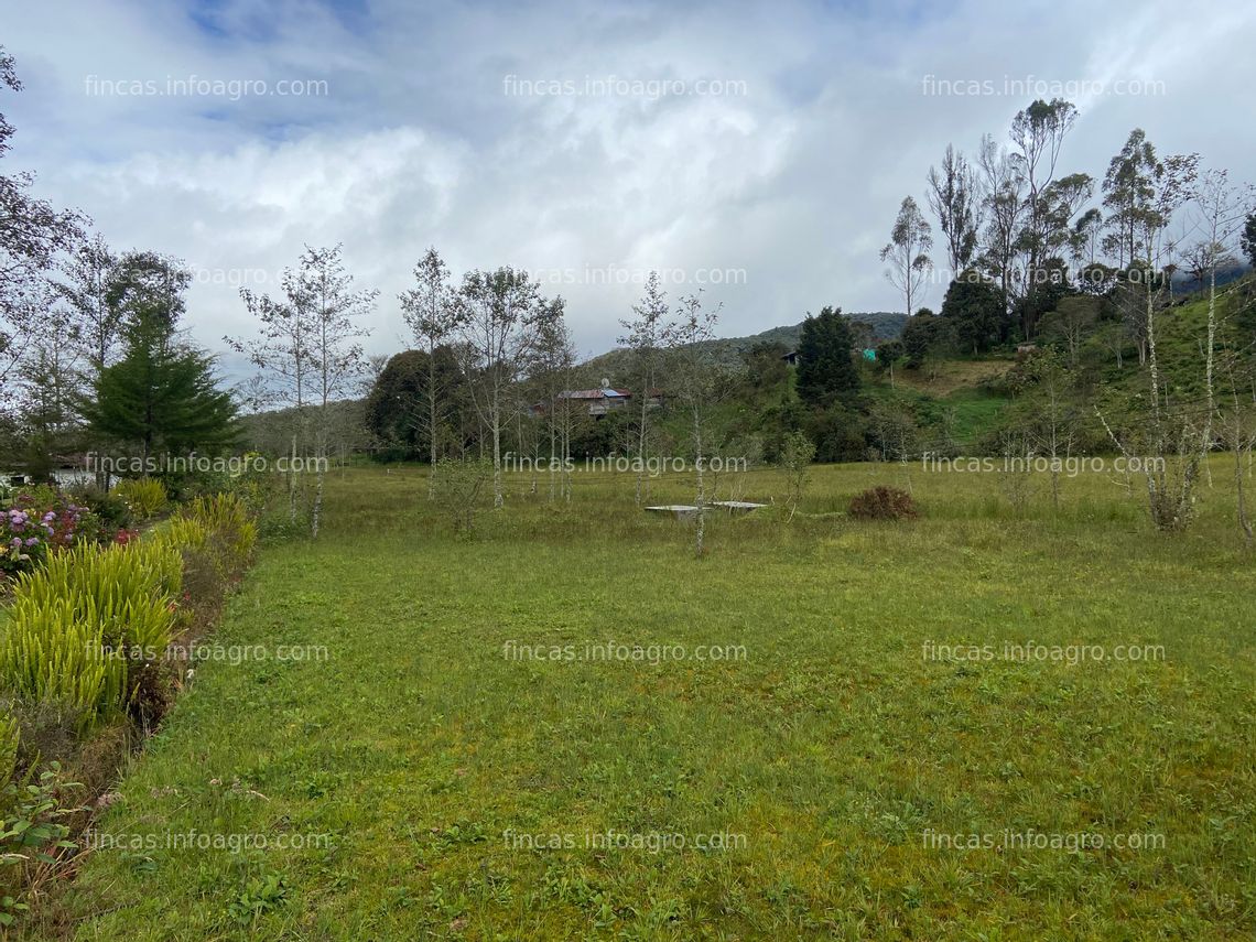 Fotos de A la venta Finca Rural agricola, ganadera, piscicola y forestal en la laguna de La Cocha, Nariño, Colombia