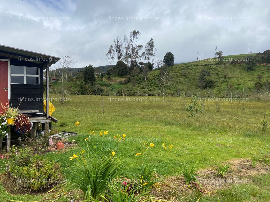 Fotos de A la venta Finca Rural agricola, ganadera, piscicola y forestal en la laguna de La Cocha, Nariño, Colombia