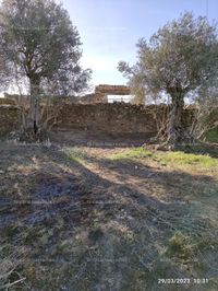 Fotos de A la venta huerto nuevo de particular