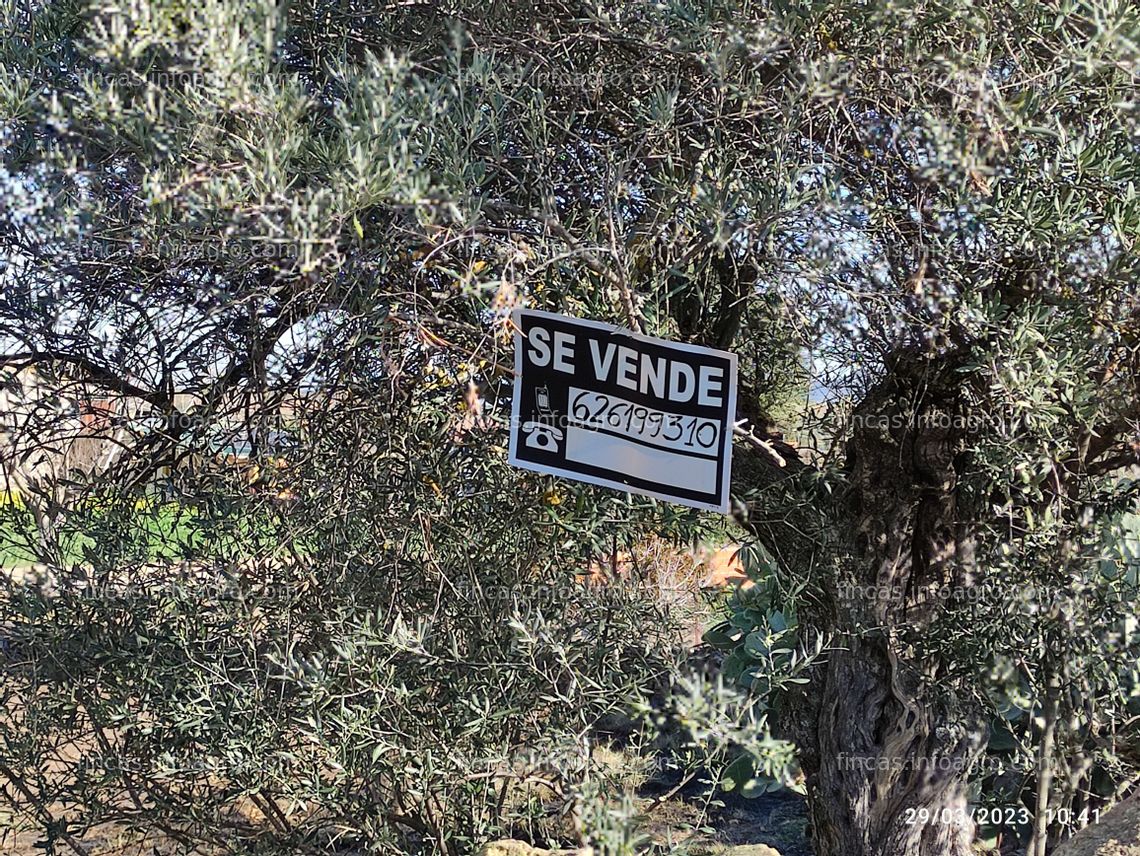 Fotos de A la venta huerto nuevo de particular