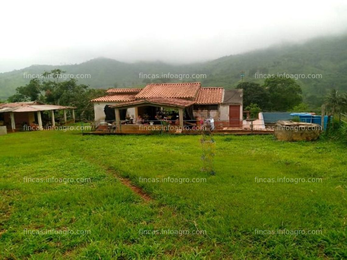 Fotos de A la venta Finca rústica para pasto y ganado