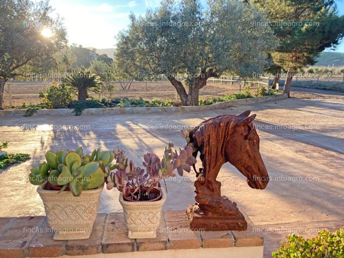 Fotos de Vendo Finca con 2 casas y establo para caballos - un sueño de diseño de lo antiguo y lo nuevo