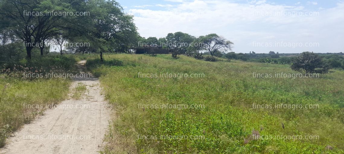 Fotos de En venta  parcela 10.8 has en cieneguillo centro, sullana