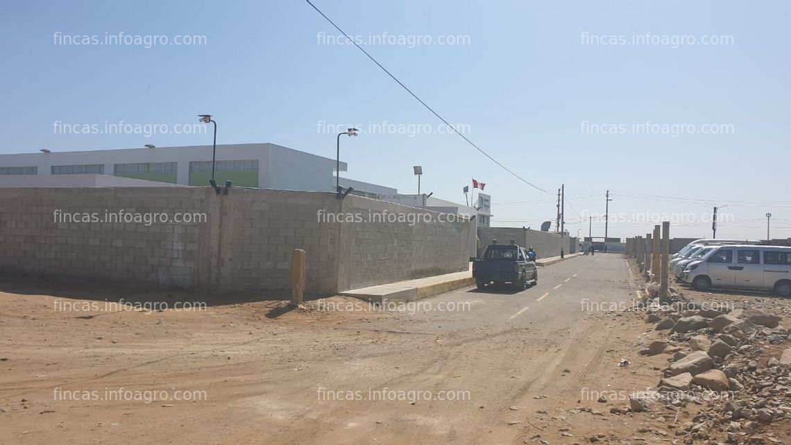 Fotos de A la venta 2 has en zona urbana Pimentel, Chiclayo