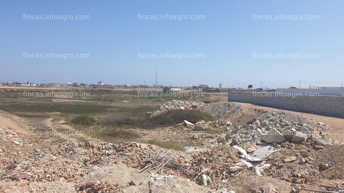 Fotos de A la venta 2 has en zona urbana Pimentel, Chiclayo