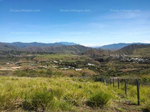 En venta  lotes para vivienda campestre