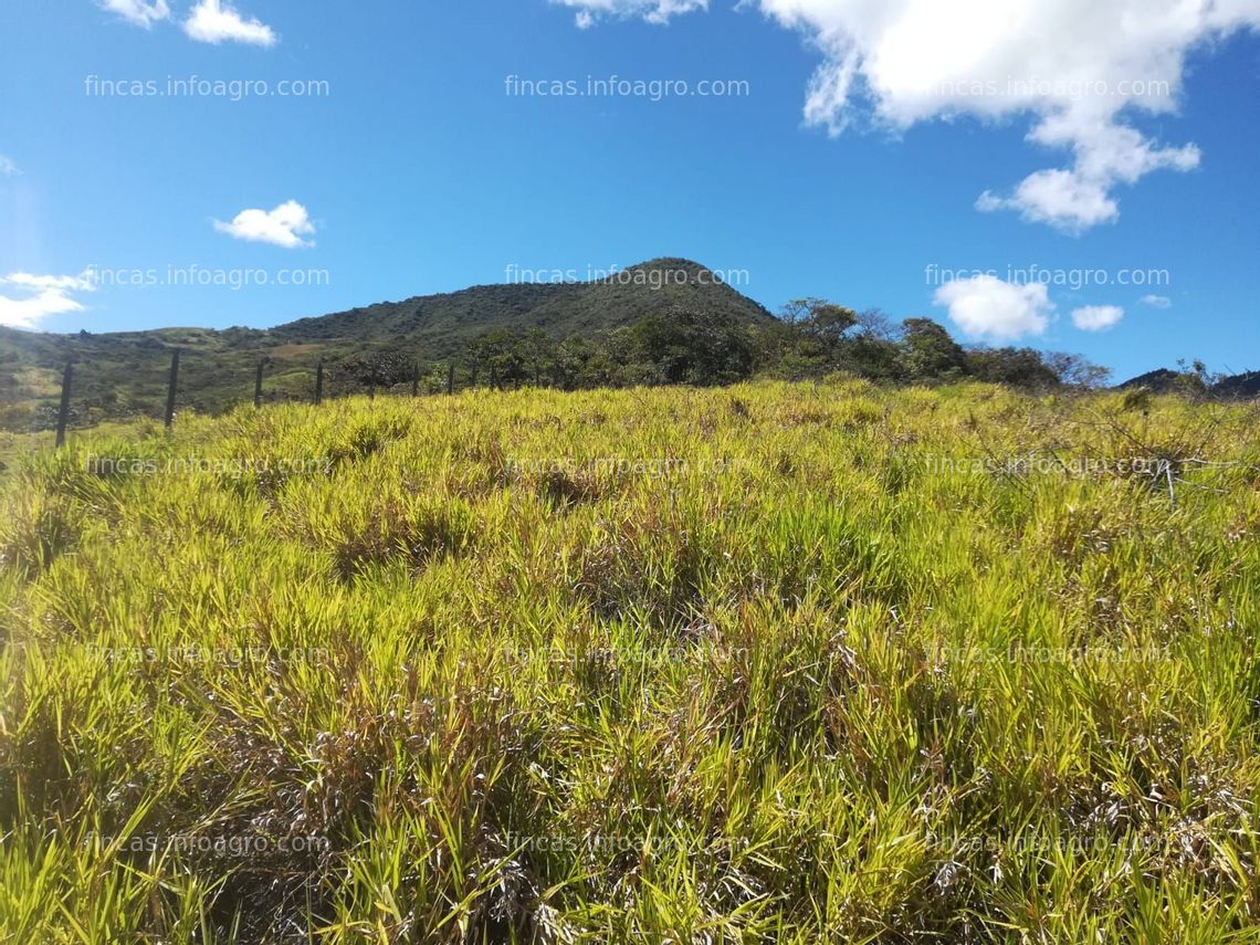 Fotos de En venta  lotes para vivienda campestre