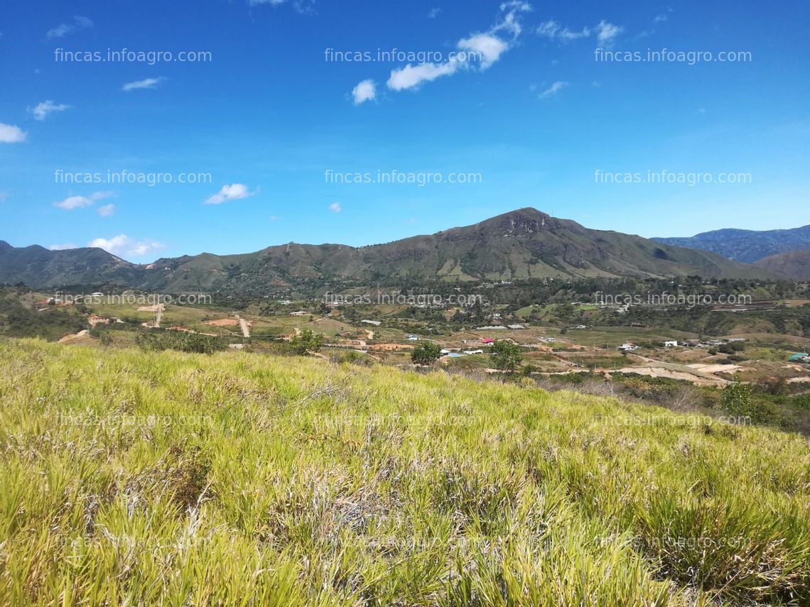 Fotos de En venta  lotes para vivienda campestre