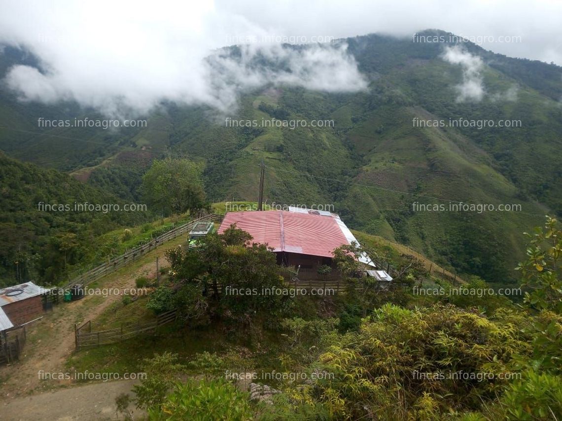 Fotos de En venta  ESPECTACULAR FINCA AGRICOLA Y GANADERA