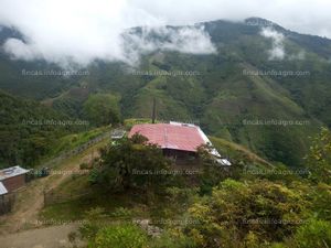 En venta  ESPECTACULAR FINCA AGRICOLA Y GANADERA