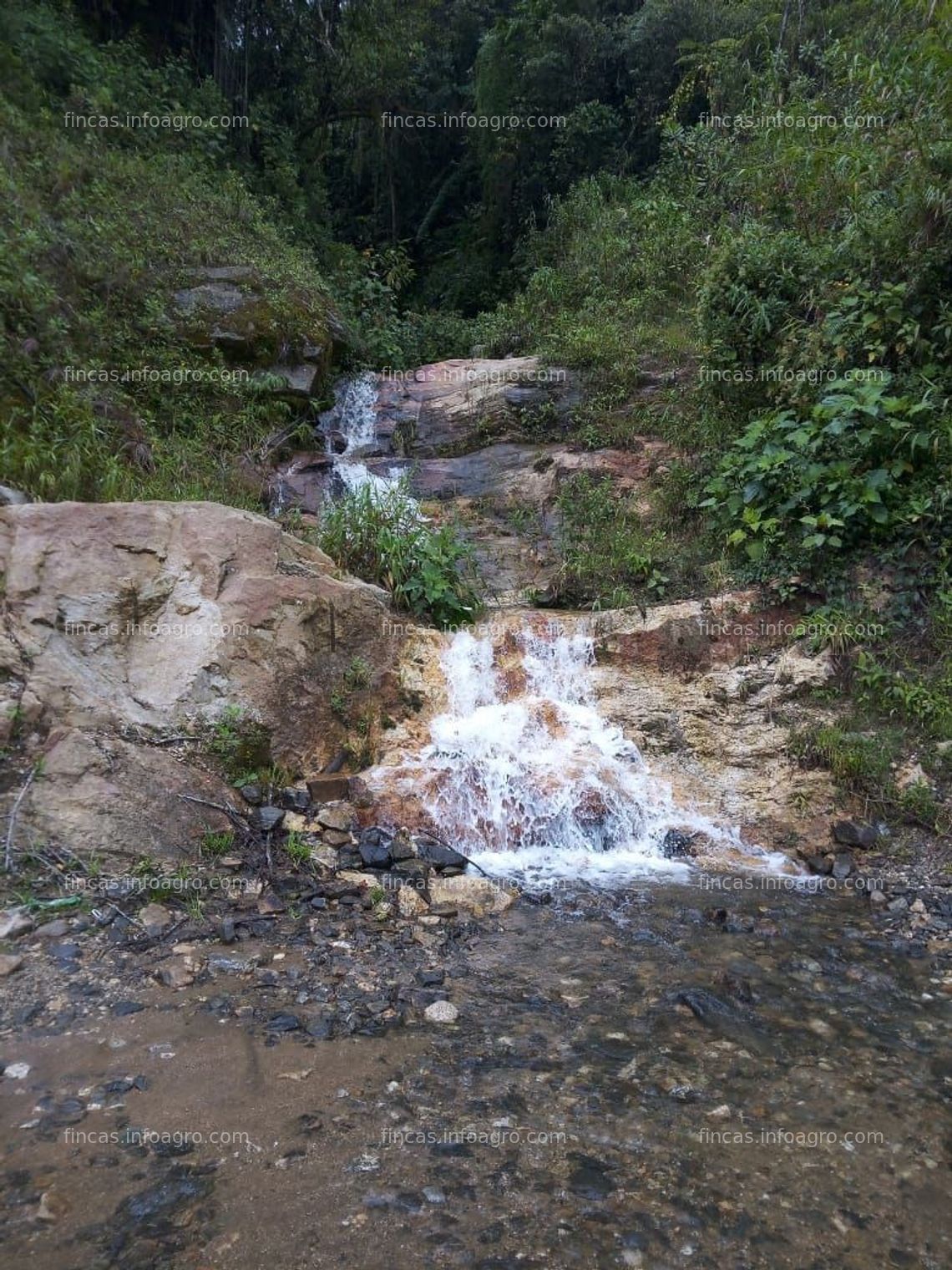 Fotos de En venta  ESPECTACULAR FINCA AGRICOLA Y GANADERA