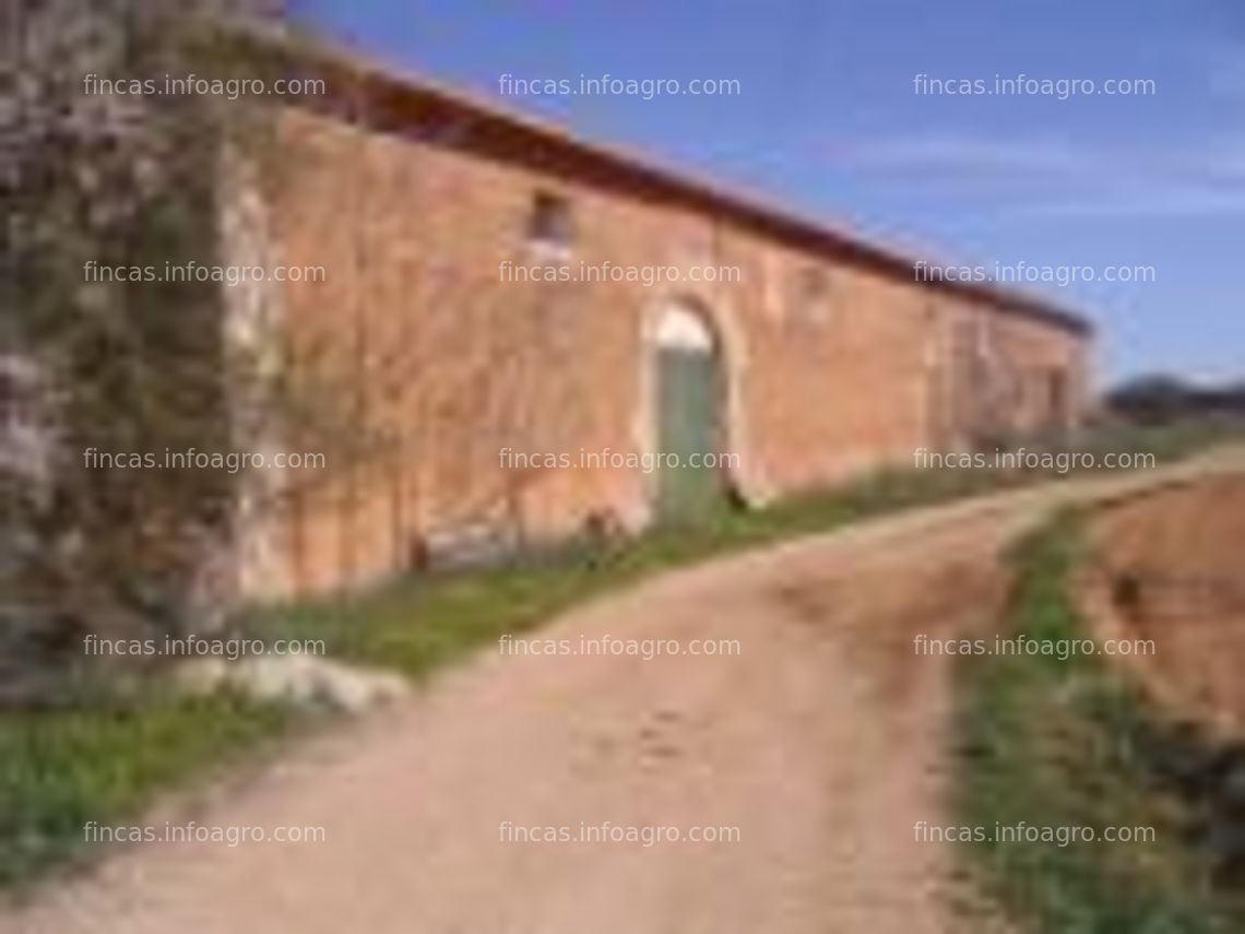 Fotos de Se vende bodega antigua en finca de 6336 m2. Ideal para casa rural, negocio de hosteleria o celebración de eventos.