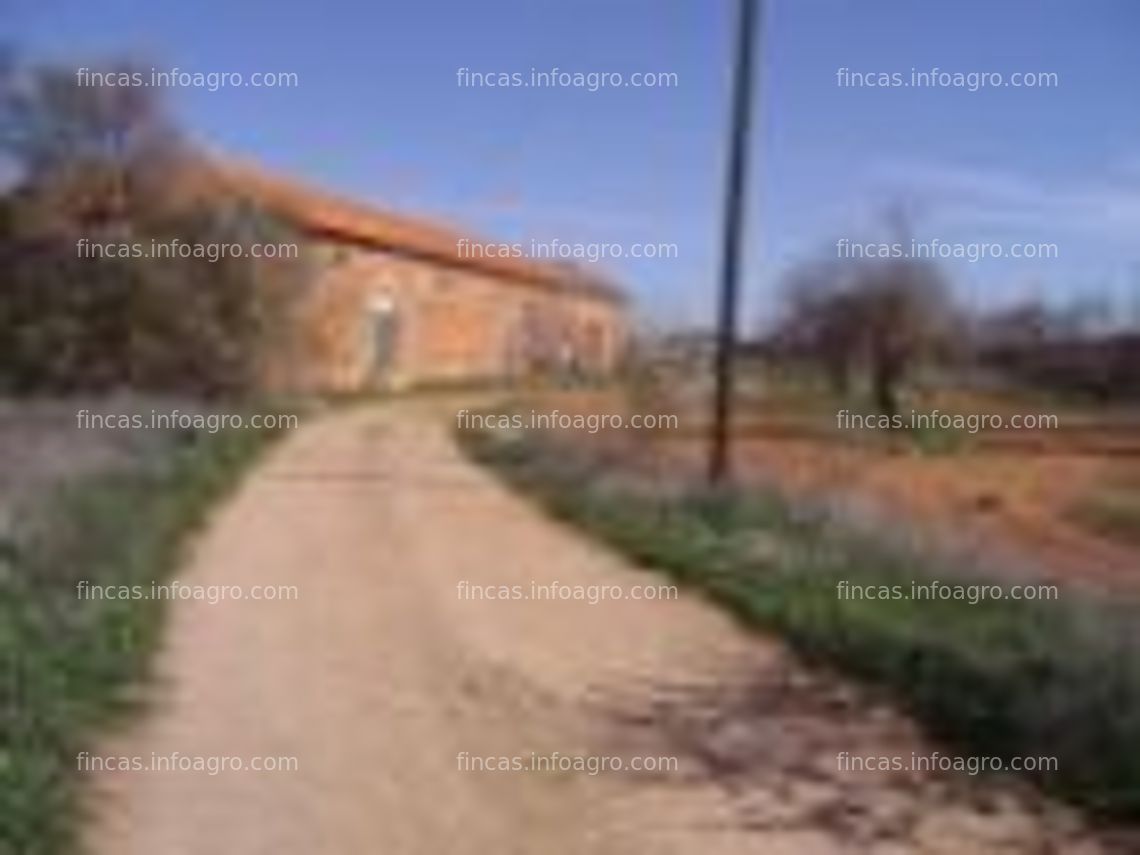 Fotos de Se vende bodega antigua en finca de 6336 m2. Ideal para casa rural, negocio de hosteleria o celebración de eventos.